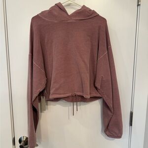 Babaton Dusty Rose Hoodie